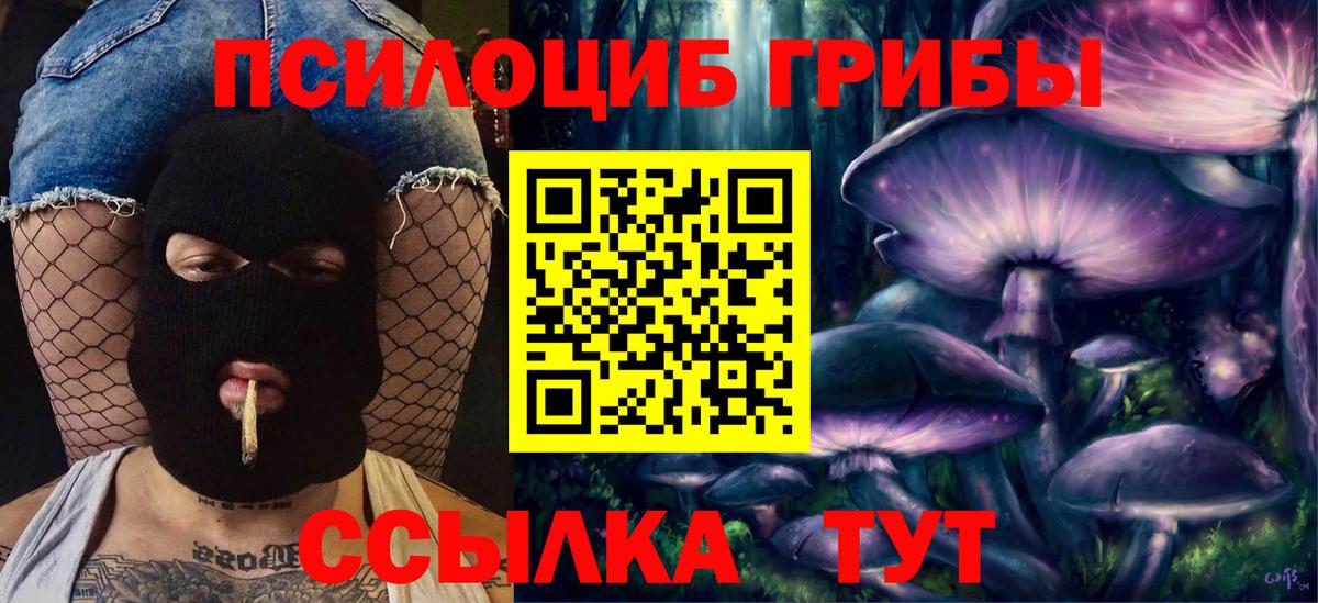 Псилоцибиновые грибы прущие грибы Великий Новгород